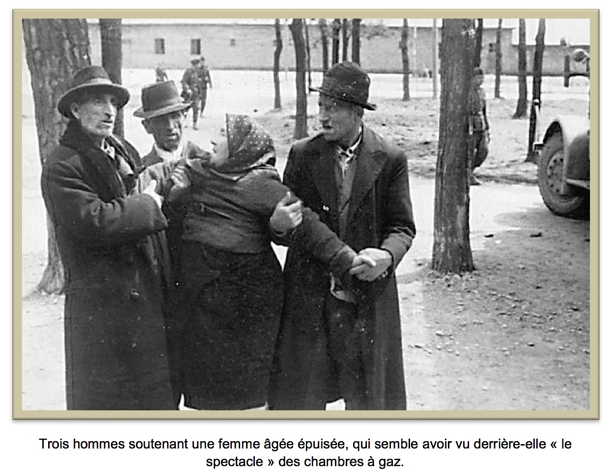 ALBUM AUSCHWITZ pic of 3 men and a woman.jpg