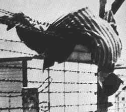 belzec gymnasium.jpg