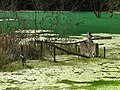 Geamăna, Alba 01.jpg