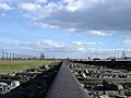 Rampe in Birkenau